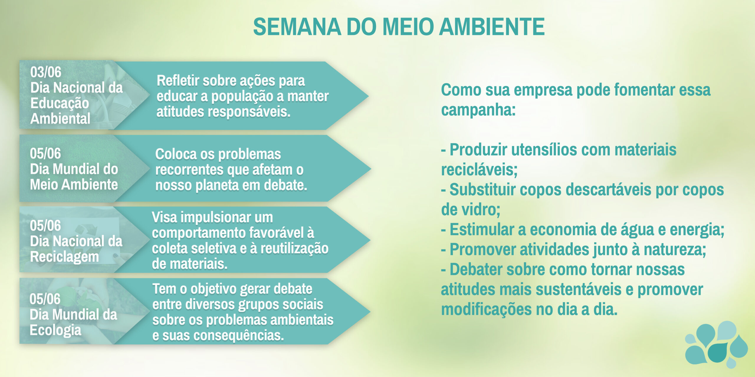 Dia Mundial do Meio Ambiente 2021: a necessidade e a urgência da